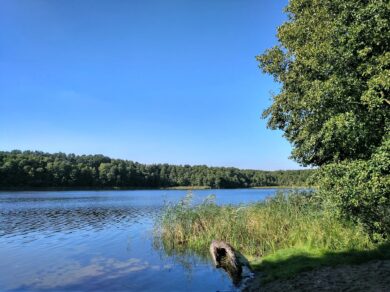 Outdoor – Durch Wald und Moor um Bötz- und Fängersee bei Strausberg