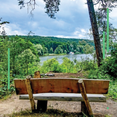 Outdoor – Forest and lake along the Havel