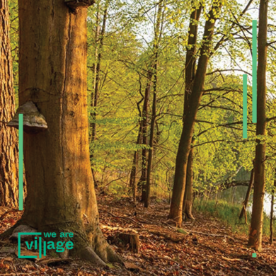 Village Outdoor – Hike through the Biesenthal Basin