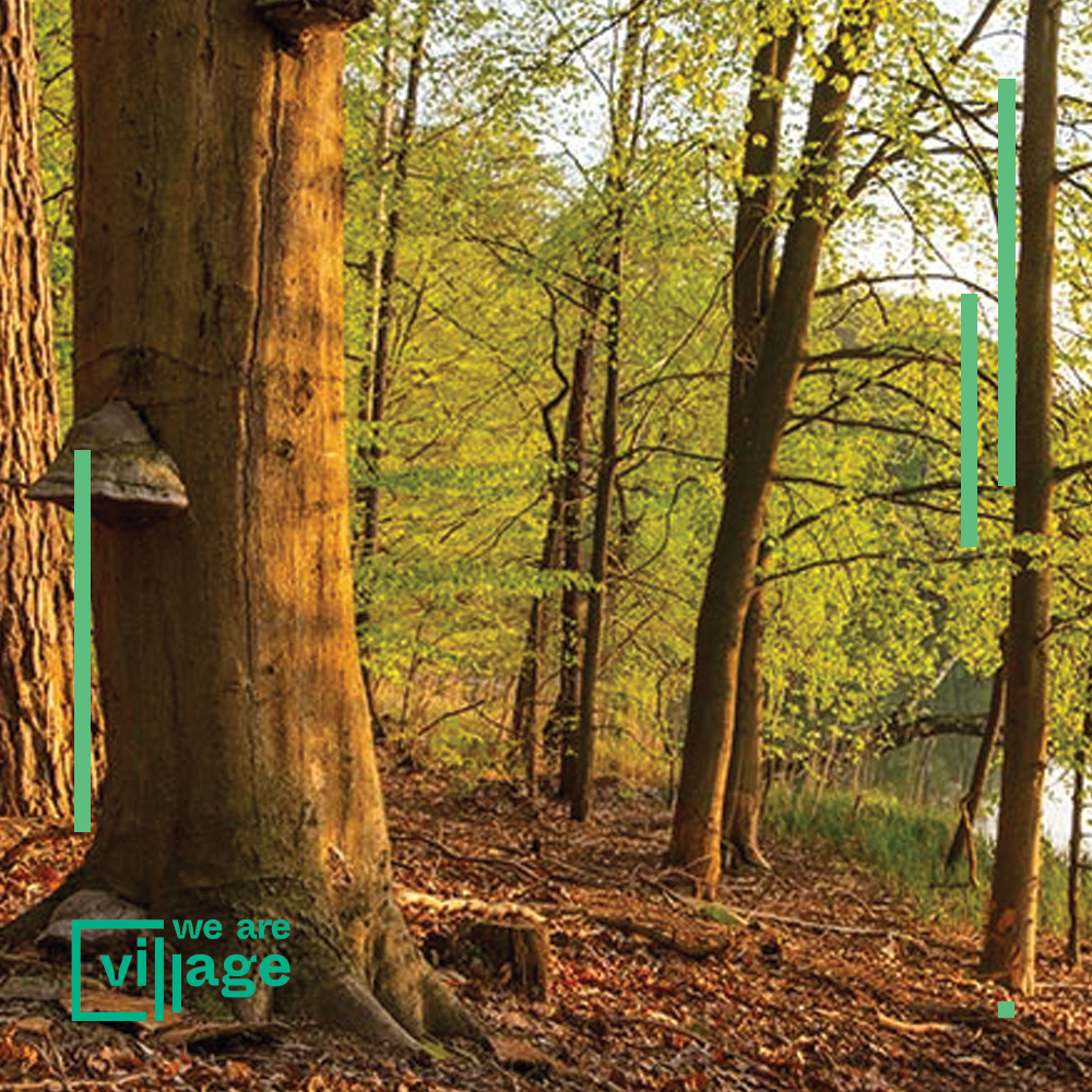 Village Outdoor – Hike through the Biesenthal Basin